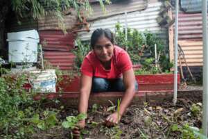 Food sovereignty and decent work