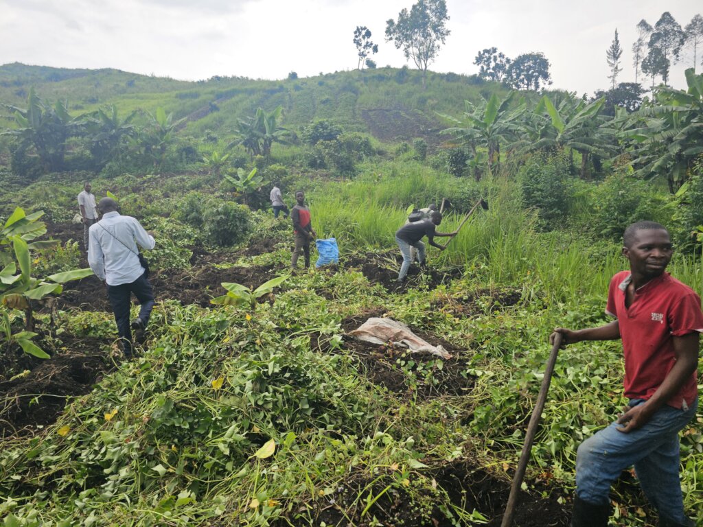 Farming for Community Affected by war in D.R.C