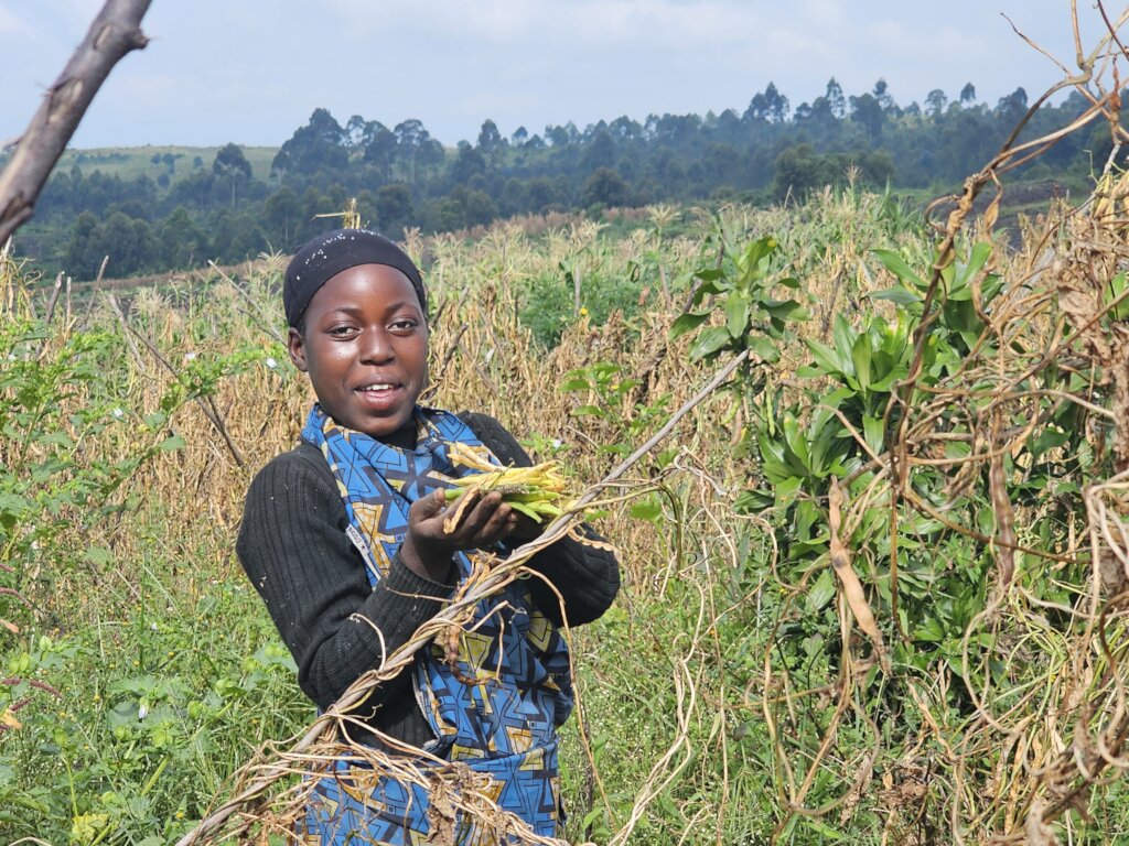 Farming for Community Affected by war in D.R.C