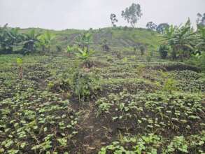 MUDJA VILLAGE
