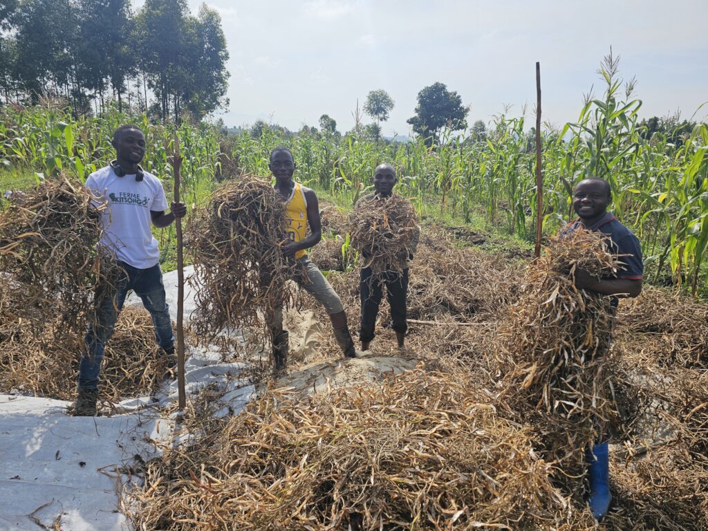 Farming for Community Affected by war in D.R.C