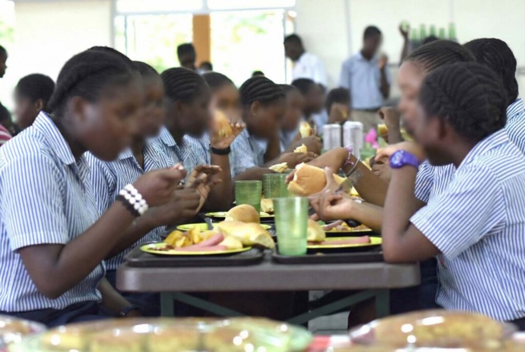 School Nutrition: Daily Meals for 500 Pupils