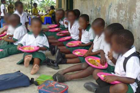 School Nutrition: Daily Meals for 500 Pupils