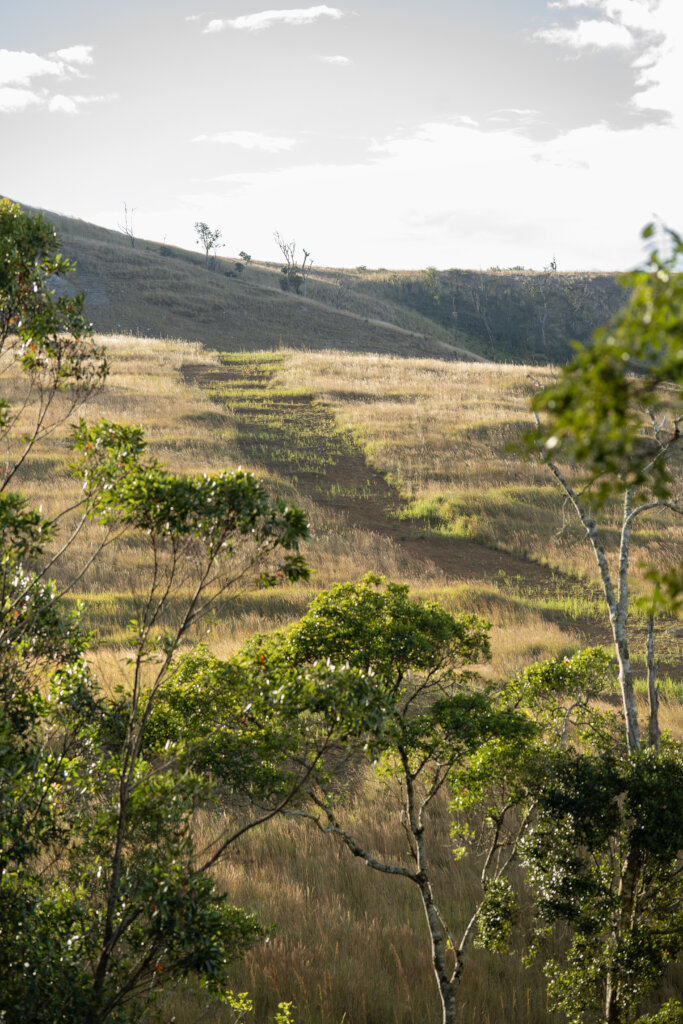 New firebreak by independent community group
