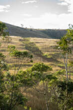 New firebreak by independent community group