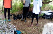 "FAH: Empowering Imehejek, Lafon, South Sudan"
