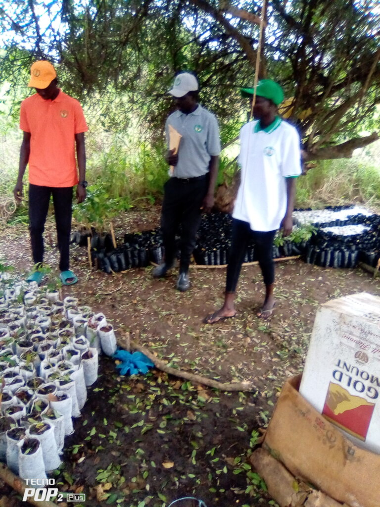 "FAH: Empowering Imehejek, Lafon, South Sudan"