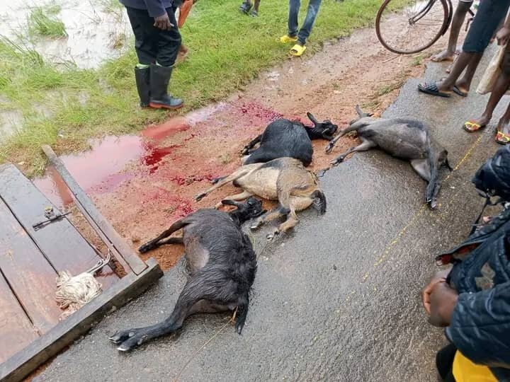 Flood Relief and Sustainable Recovery in Malawi