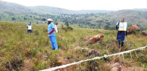 sanitizing  bush areas to stop disease spread