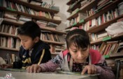 Education, sport and culture as human pillars