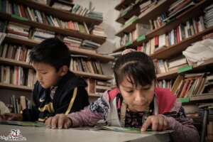 Education, sport and culture as human pillars