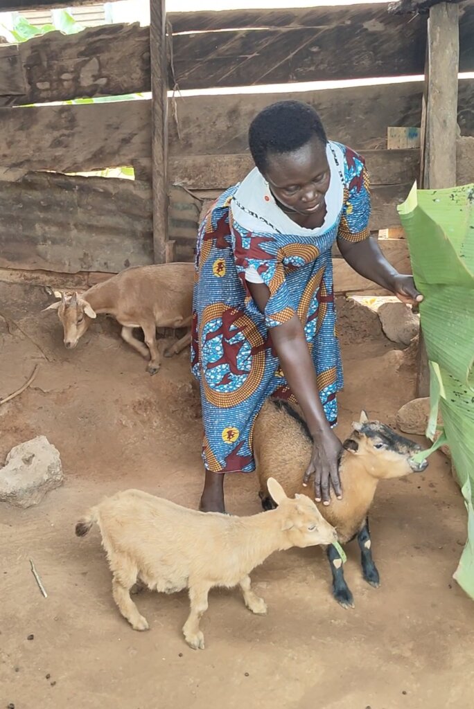 Women Goat Ranch For A Sustainable Livelihood