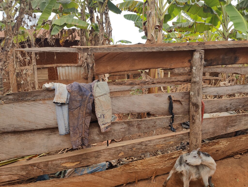Women Goat Ranch For A Sustainable Livelihood
