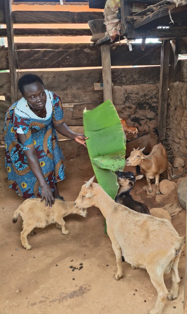 Women Goat Ranch For A Sustainable Livelihood