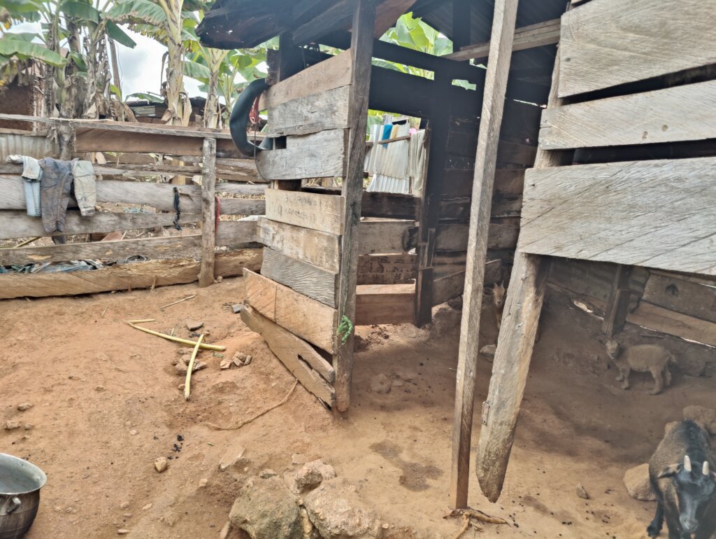 Women Goat Ranch For A Sustainable Livelihood