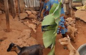 Women Goat Ranch For A Sustainable Livelihood