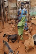 Women Goat Ranch For A Sustainable Livelihood