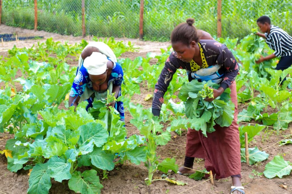 Empowering Refugee Women Through Small Business