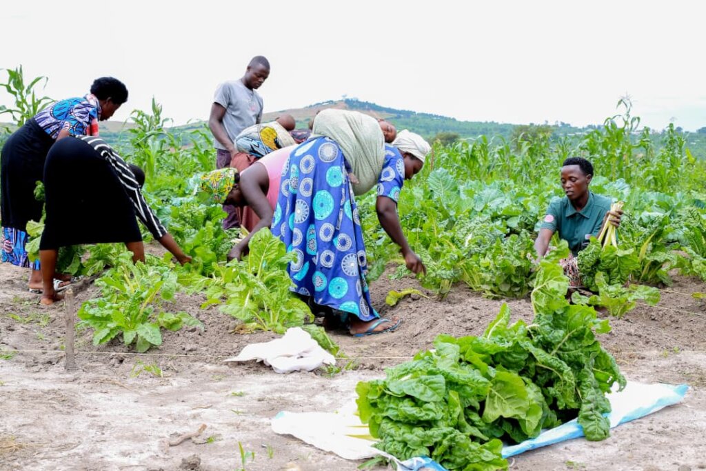 Empowering Refugee Women Through Small Business