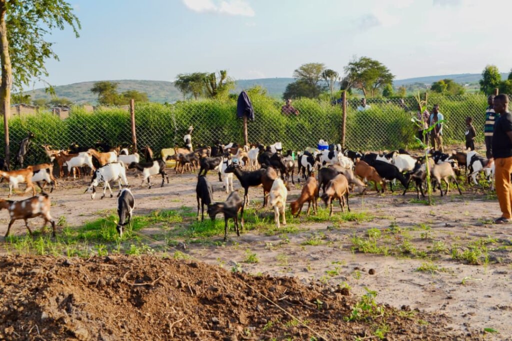Empowering Refugee Women Through Small Business