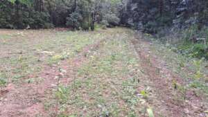 Student planting 17.5.2026
