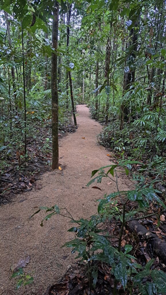 Cassowary Corridor - Wet Tropics of Far North Qld