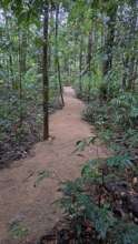 Benella Reserve Walking Trail