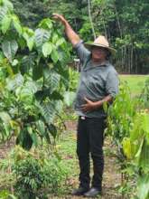 Cassowary Corridor - Wet Tropics of Far North Qld
