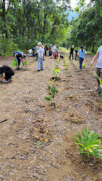 Engaging the next generation of conservationists