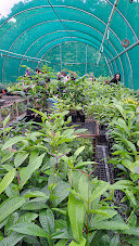 Engaging the next generation of conservationists