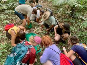 Collecting rainforest seeds