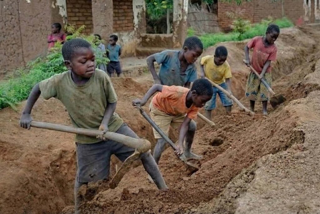 Create a Child Labor Monitoring Network in 5 LGAs.