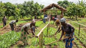 Train Farmers in Eco-Friendly Farming in Ghana