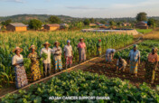 Empowering Smallholder Farmers
