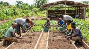 Improve Food Production in Rural Ghana