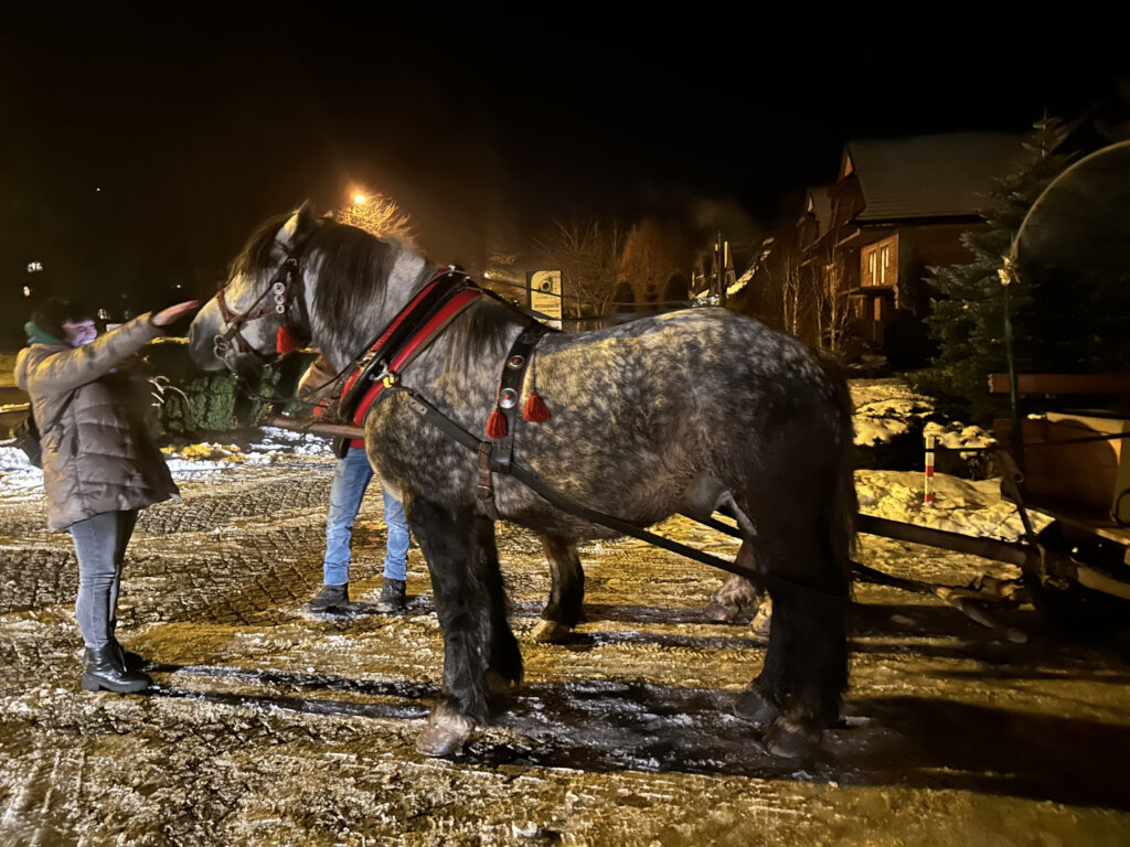 Therapeutic Camp 2025 - Real Support for Children