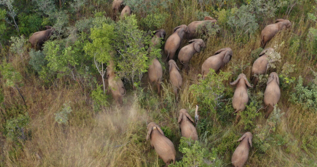 Animal Habitat Protection for 200 Communities