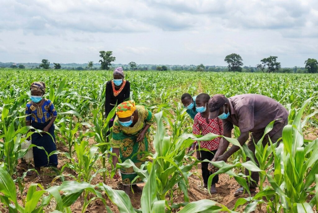 Farm Support Program for 500 Farmers in Kano