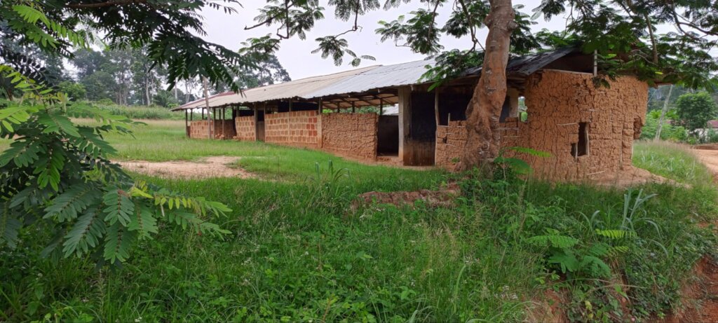 Rebuild Yaw Owusukrom School Classrooms