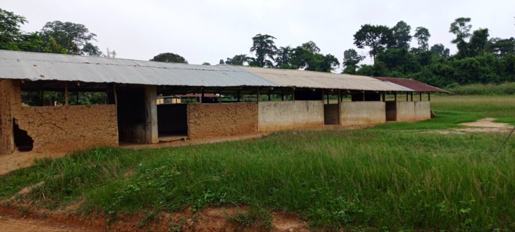 Rebuild Yaw Owusukrom School Classrooms