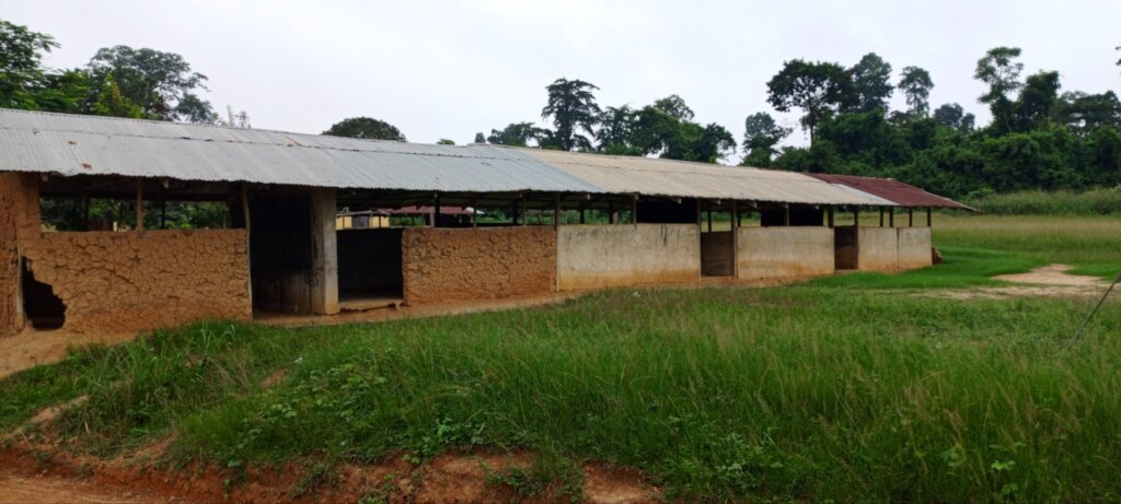 Rebuild Yaw Owusukrom School Classrooms