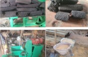 Save Goma's Forests with Eco-Charcoal
