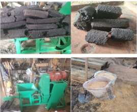 Save Goma's Forests with Eco-Charcoal
