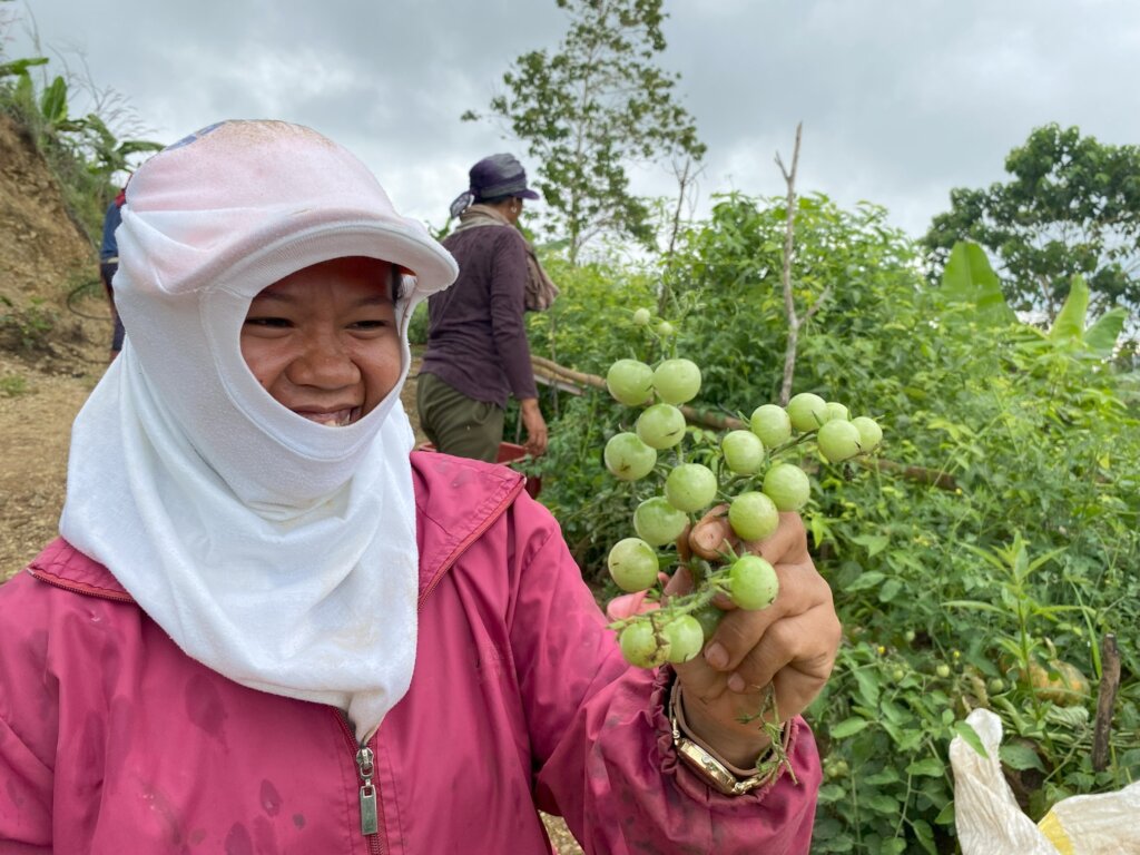 Establishment of a training and resource center