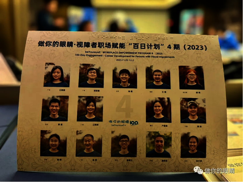 Support inclusive employment of visually impaired