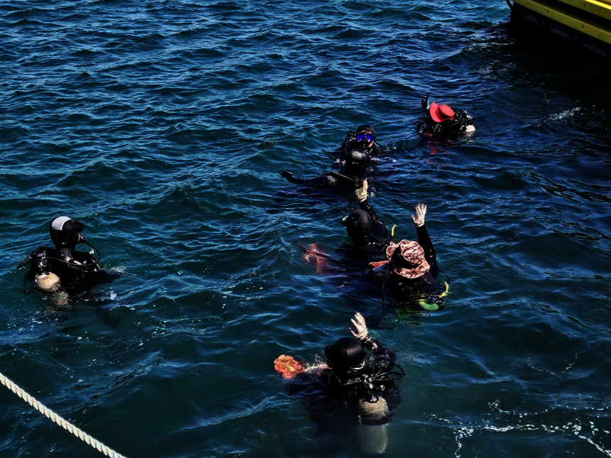 Volunteers diving for a Jeju cleanup (JIGU SSUDAM)