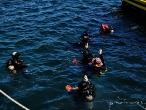 Volunteers diving for a Jeju cleanup (JIGU SSUDAM)