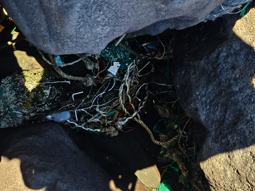 Threats from marine debris (JIGU SSUDAM)
