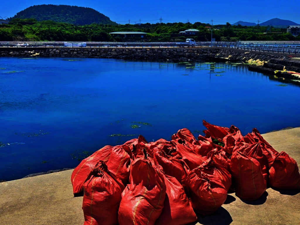 Marine waste collected from JIGU SSUDAM campaign