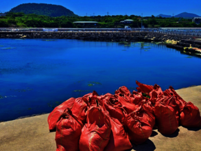 Marine waste collected from JIGU SSUDAM campaign